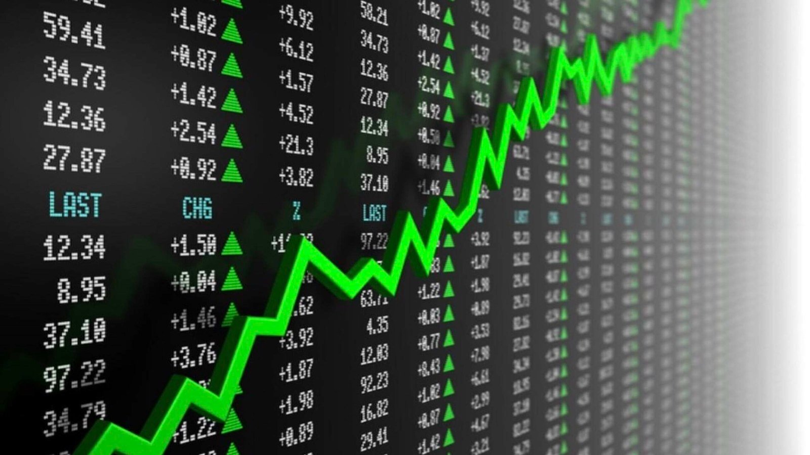 Stock Market Basics: Navigating the Heartbeat of Finance